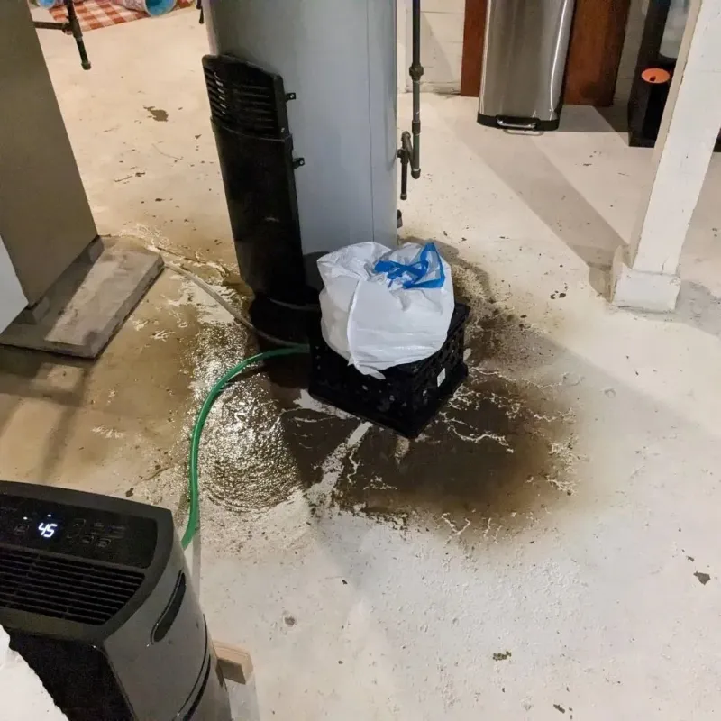 Sewage Backup Cleanup Service in Colwyn, PA
